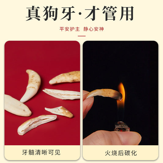 Black Dog Tooth Cinnabar Zodiac Bracelet with Peach Wood Red String for Infant Protection