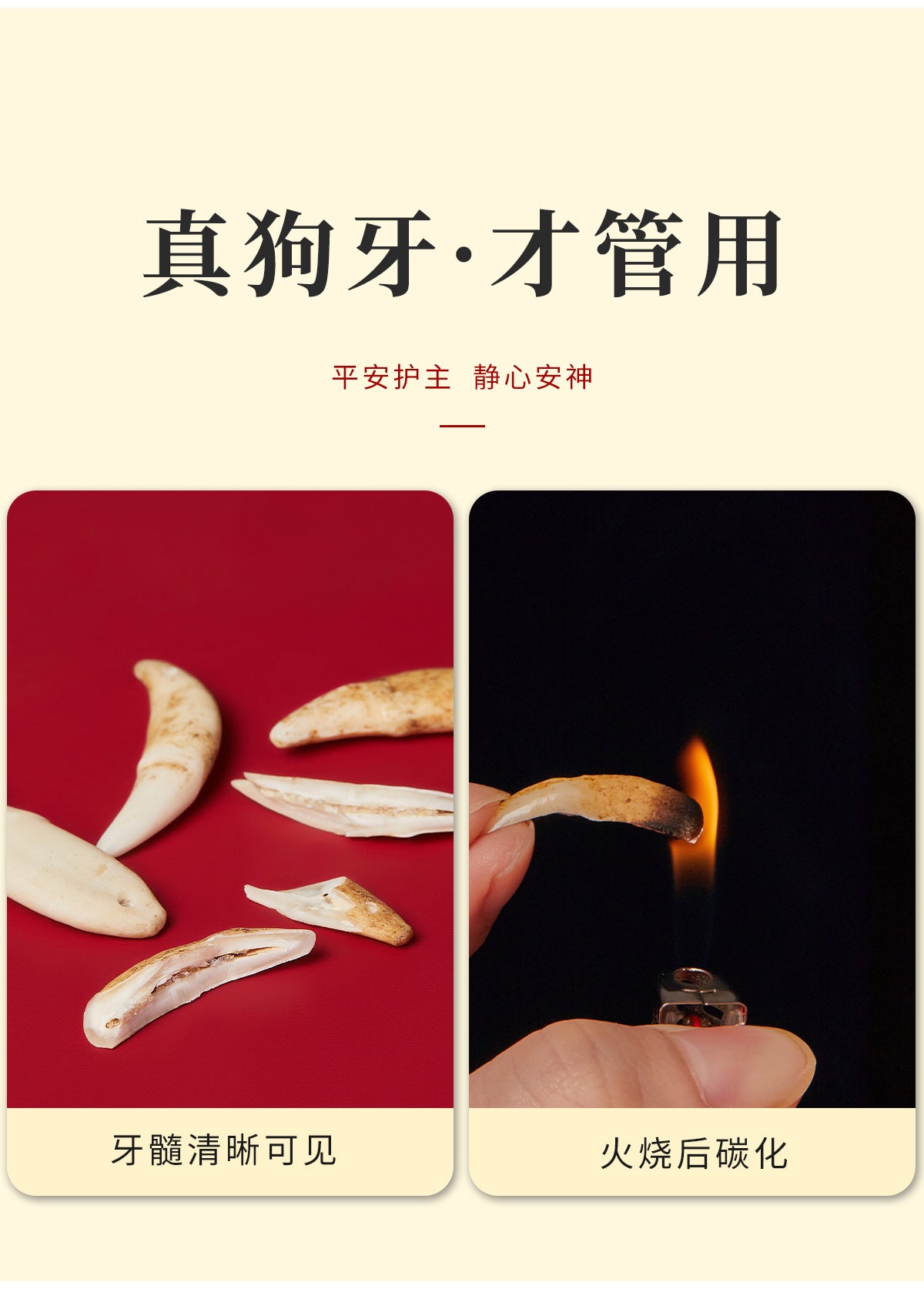 Black Dog Tooth Cinnabar Zodiac Bracelet with Peach Wood Red String for Infant Protection