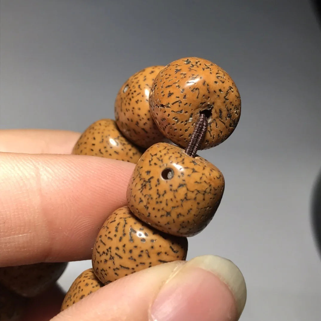 Hainan Bodhi Star-Moon Seed Bracelet — Buddhist Beads
