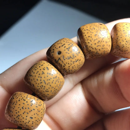 Hainan Bodhi Star-Moon Seed Bracelet — Buddhist Beads