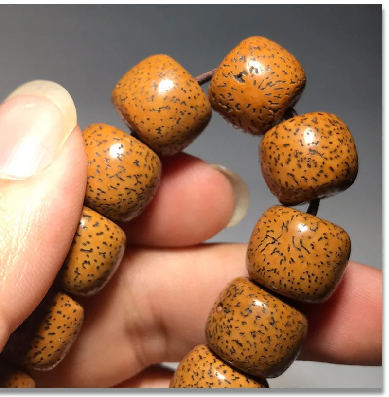 Hainan Bodhi Star-Moon Seed Bracelet — Buddhist Beads