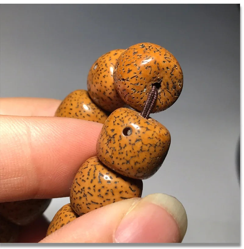 Hainan Bodhi Star-Moon Seed Bracelet — Buddhist Beads