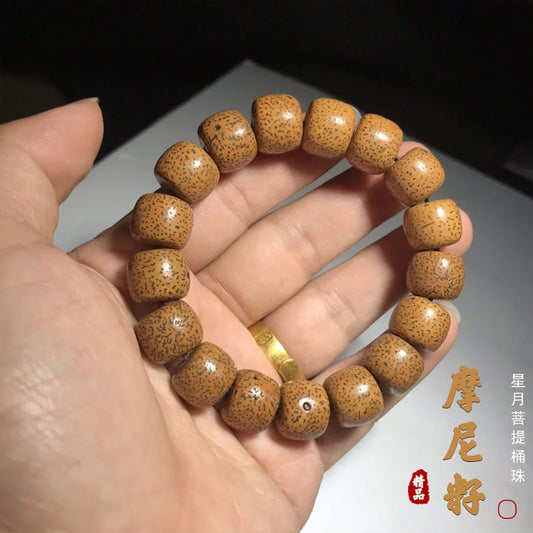 Hainan Bodhi Star-Moon Seed Bracelet — Buddhist Beads