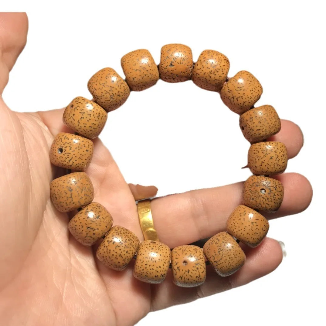 Hainan Bodhi Star-Moon Seed Bracelet — Buddhist Beads