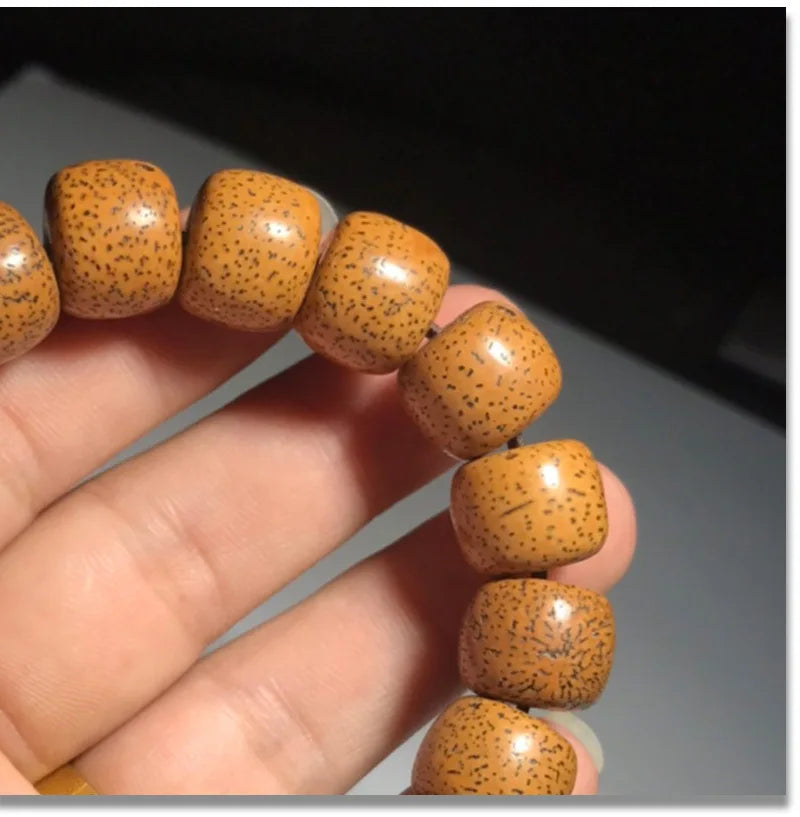 Hainan Bodhi Star-Moon Seed Bracelet — Buddhist Beads