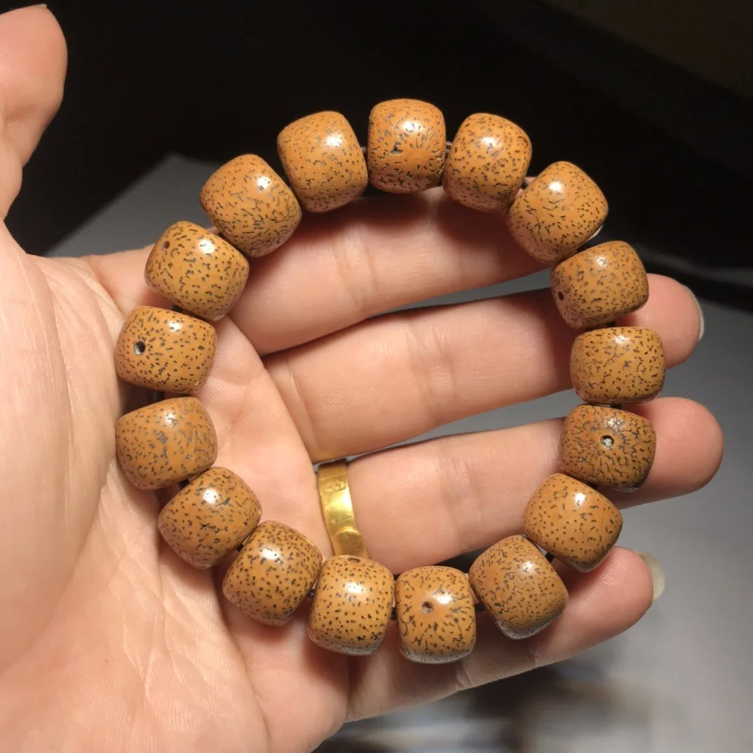 Hainan Bodhi Star-Moon Seed Bracelet — Buddhist Beads