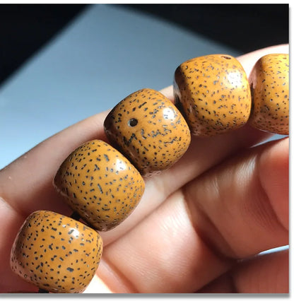 Hainan Bodhi Star-Moon Seed Bracelet — Buddhist Beads