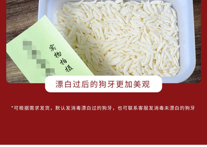 Black Dog Tooth Cinnabar Zodiac Bracelet with Peach Wood Red String for Infant Protection