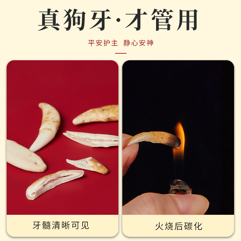 Black Dog Tooth Cinnabar Zodiac Bracelet with Peach Wood Red String for Infant Protection