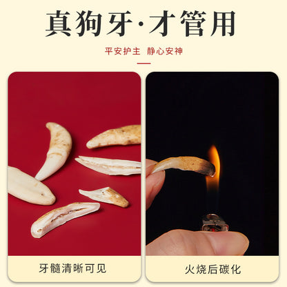 Black Dog Tooth Cinnabar Zodiac Bracelet with Peach Wood Red String for Infant Protection